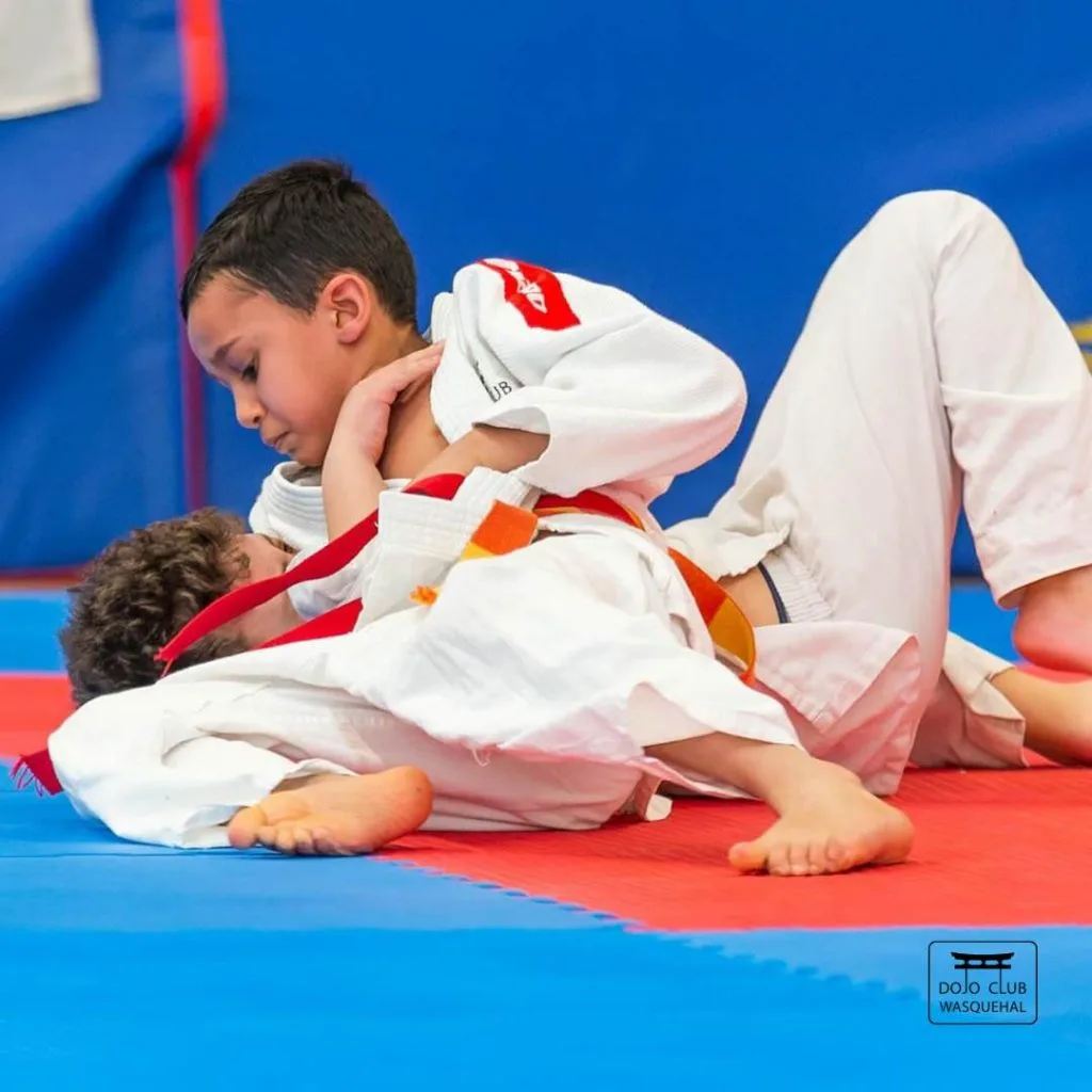 Un weekend riche pour nos judokas