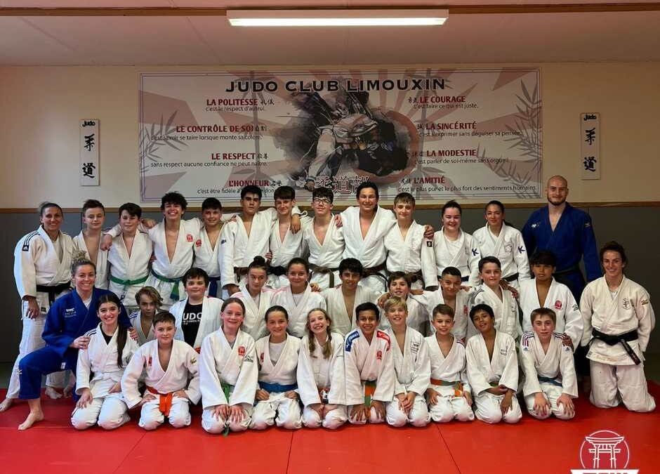 Stage de Judo de Limoux