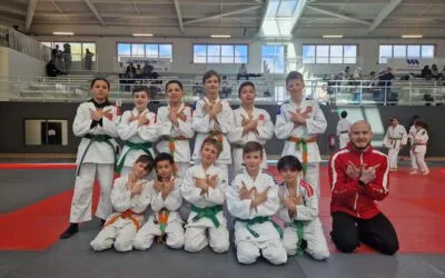 Le dojo de Wasquehal en vue aux districts Métropole Sud : une dynamique collective prometteuse