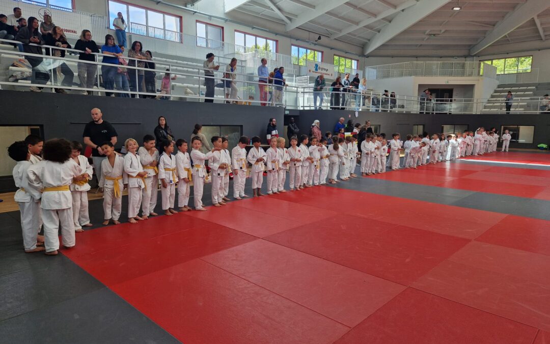 L&rsquo;animation annuelle Baby-Judo et Mini-Poussins : une belle découverte du judo de compétition