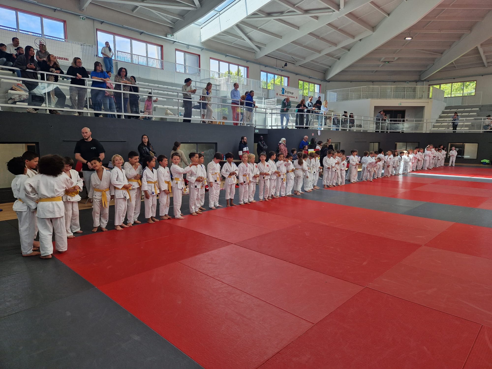 L&rsquo;animation annuelle Baby-Judo et Mini-Poussins : une belle découverte du judo de compétition