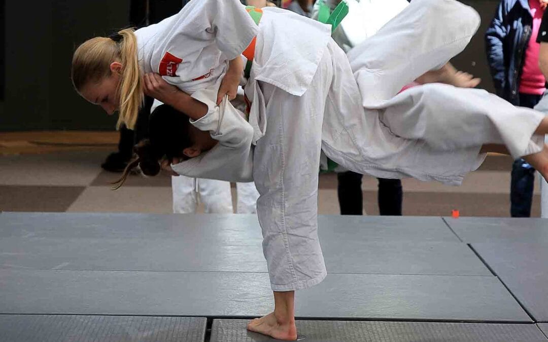 Présence du Dojo Club de Wasquehal au Forum des Associations de Wasquehal